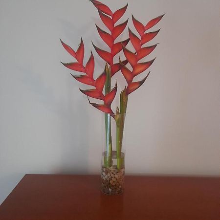 里贝拉布拉瓦Recanto Da Madeira.公寓 外观 照片