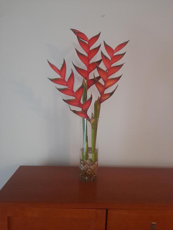 里贝拉布拉瓦Recanto Da Madeira.公寓 外观 照片